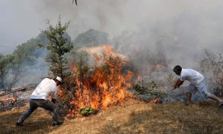 Në Shkodër 230 raste zjarresh, kreu i zjarrfikësve: Shumica nga pakujdesia njerëzore