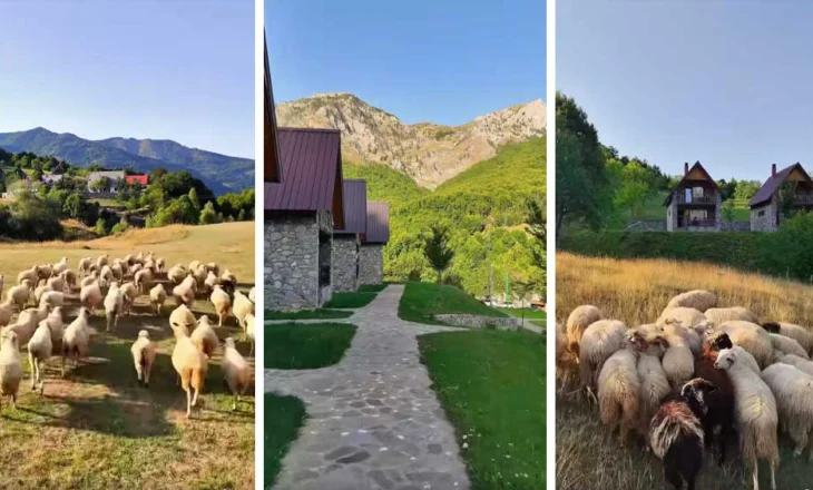 Një mëngjes nga magjia e Kelmendit, kartolina e Kryeministrit Rama për një të diel shqiptare