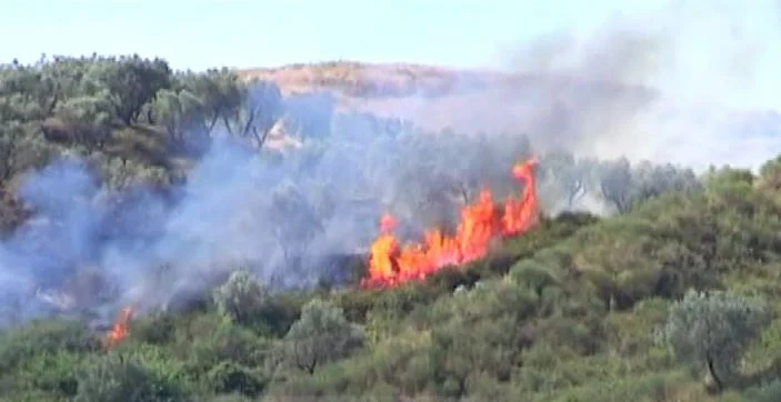 Një vatër zjarri e fuqishme në Gjirokastrës, digjen 1 mijë hektarë kullotë, zjarrfikëset në terren