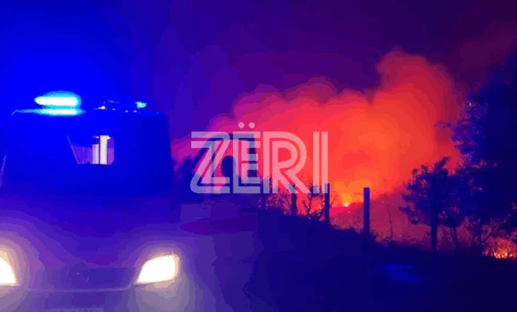 “Nuk shihet më asgjë, vetëm tym, gjithçka u shkatërrua”, rrëfimet e banorëve të fundit që kanë mbetur në Delvinë