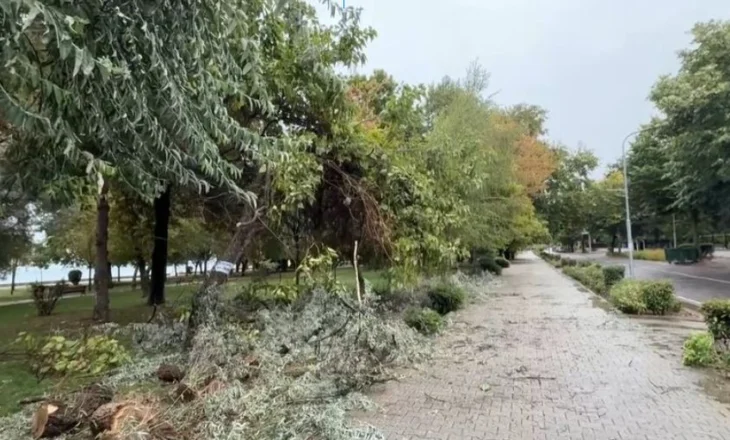 Pemë të thyera, e tenda të rrëzuara, pasojat e stuhisë në Pogradec