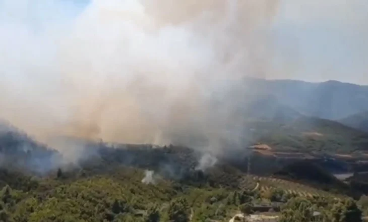 Për të dytën herë brenda pak ditësh! Zjarr pranë Uzinës së Armëve në Poliçan