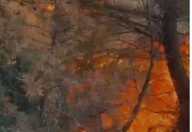 Përfshihen nga flakët sipërfaqe të konsiderueshme pyjore në Himarë, përhapen me shpejtësi nga era