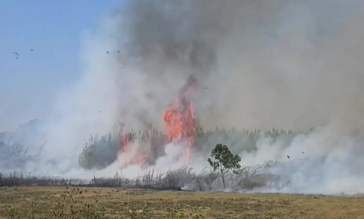 Përfshihen nga flakët toka bujqësore dhe kallamishtet në Fier, tymi mbulon qytetin