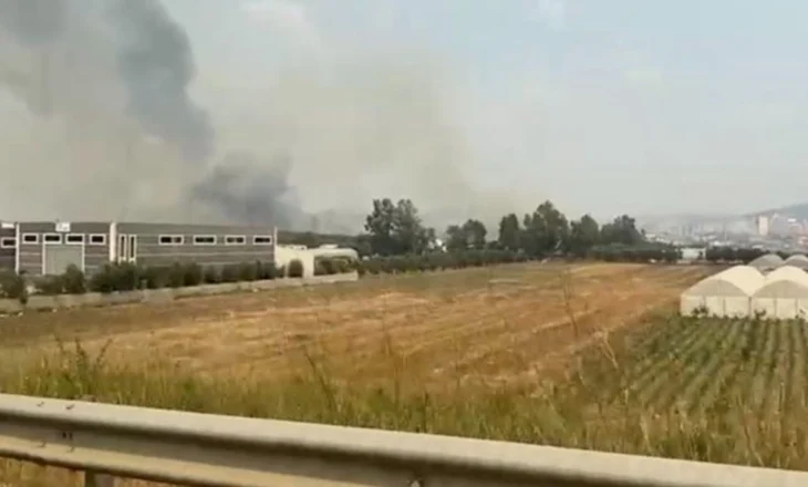 Përfshihet nga zjarri fusha e grumbullimit të mbetjeve në Lushnjë
