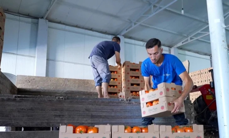 Perimet vendore shkojnë jashtë, tregu mbushet me import