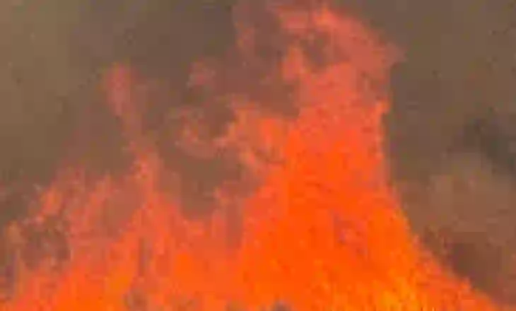 Përkeqësohet situata me zjarrin në Lekël të Tepelenës, shpërthejnë edhe dy bomba të Luftës së Dytë Botërore