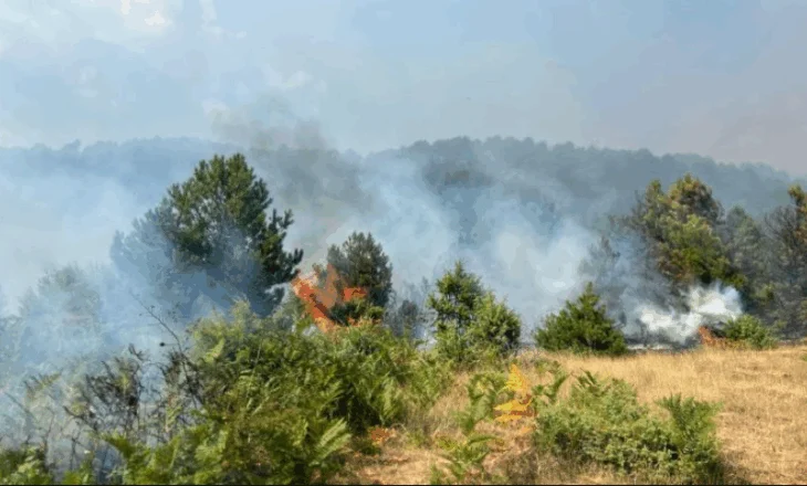 Përmirësohet situata në Gramsh, vetëm 1 vatër aktive. Më 18 gusht ngrihen grupet e punës për dëmet