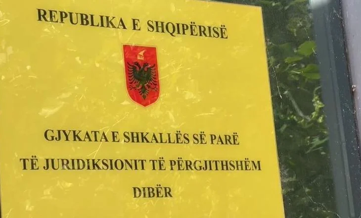 Plagosi nënën disa herë me thikë në Dibër, Gjykata vendos shtrim në spital psikiatrik për autorin
