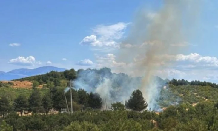 Pogradec, vatër zjarri në Lin