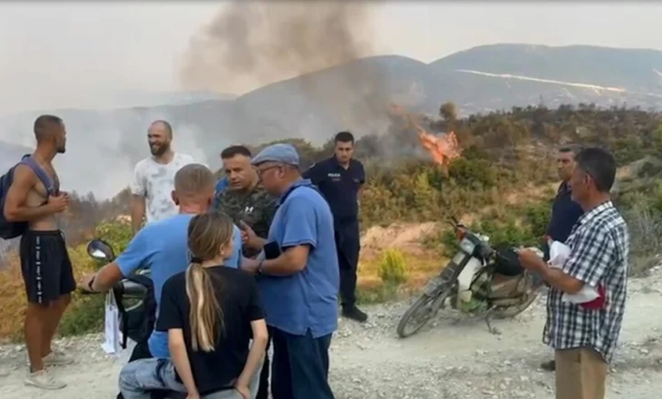 Poliçani dhe Gramshi vijojnë betejën me flakët e zjarrit