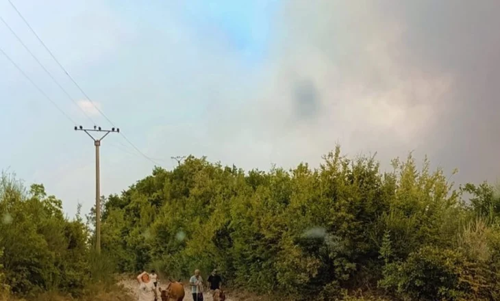 Policia e Elbasanit, thirrje banorëve: Bashkëpunoni me efektivët e rendit dhe Emergjencat Civile