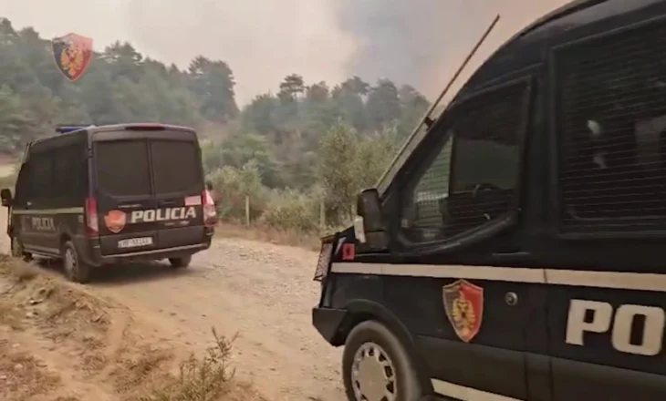 Policia e Shtetit arreston 46 persona për zjarrvënie, reagon Rama: Këta kriminelë meritojnë ndëshkime maksimale