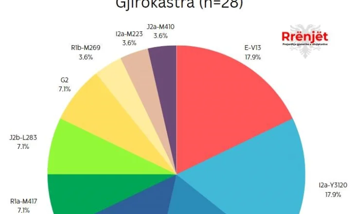 Prejardhja gjenetike e familjeve të Gjirokastrës