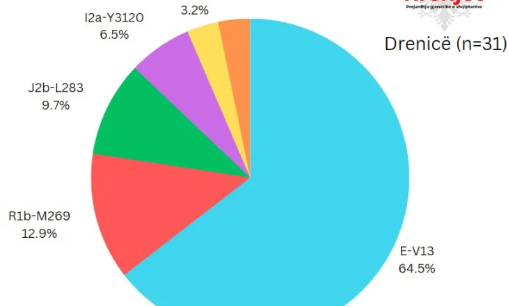 Prejardhja gjenetike në Drenicë