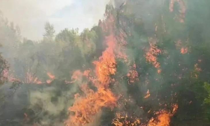 Pyjet në Akërni dhe Poro 24 orë në flakë/ Njerëzit me sytë nga qielli, satelitët e Ramës dhe helikopterët e Vengut kanë humbur