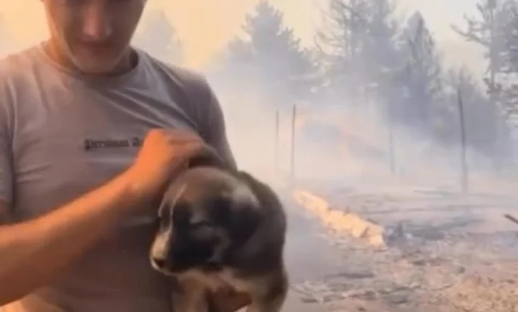 “Respekt”, Rama shpërndan foton e të riut duke shpëtuar një qen nga zjarri