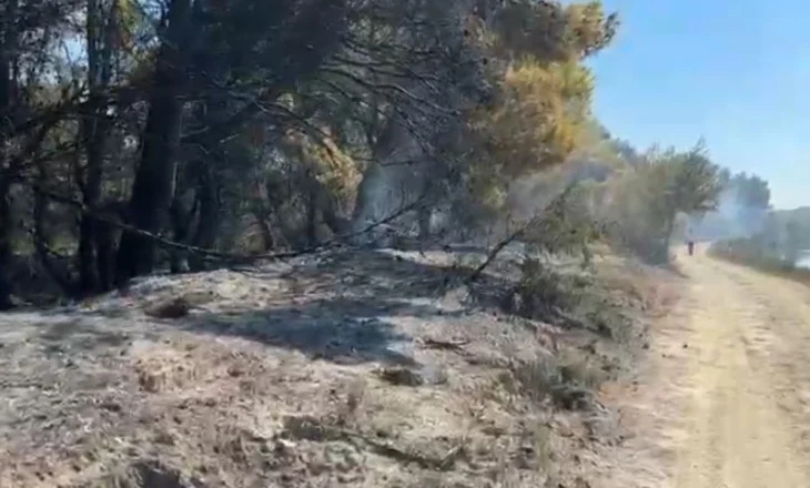 Riaktivizohen flakët në pyllin e Poros në Vlorë, shkrumbohet një sipërfaqe e konsiderueshme me pisha