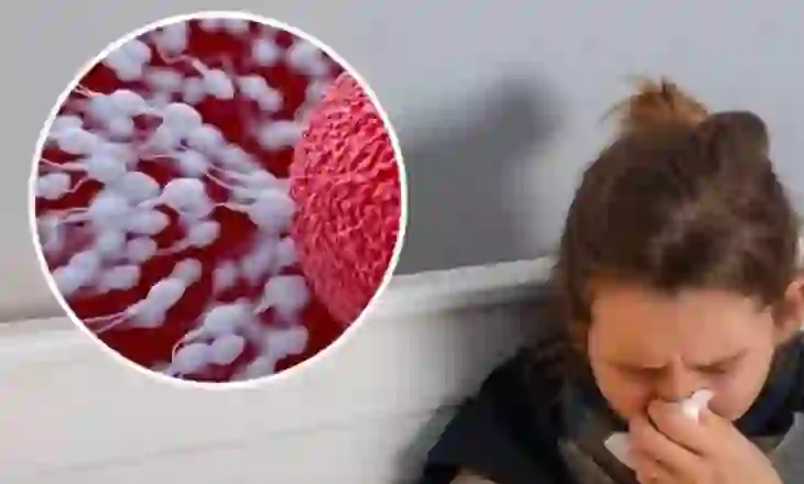 Seksi që shkakton skuqje e fryrje? Mund të jeni alergjik ndaj spermës