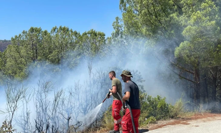 Selenicë/ Vatër zjarri në Lapardha, flakët u afrohen banesave