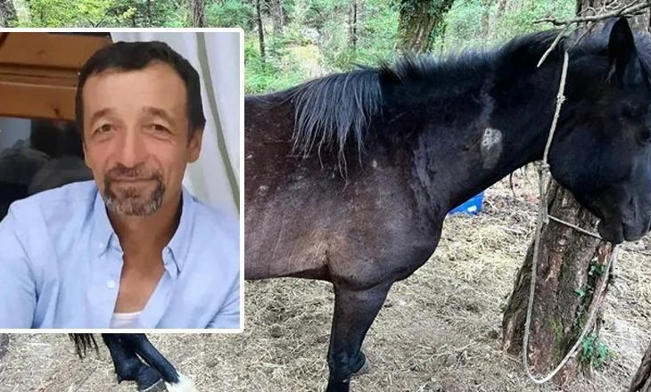 Shëmtia që vret bukurinë / Ja kush është vrasësi i kuajve në Llogara, Selfo Merkohitoj