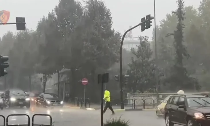 Shiu ndez shpresat për të zbutur situatën e zjarreve në vend