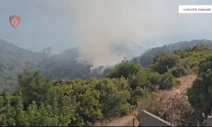 Shkaktarë të ndezjes së zjarreve, arrestohet një person! Nis hetimi për dy të tjerë
