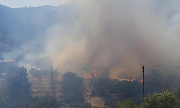 Shkëndijat elektrike ndezin fushat/ Rrjeti i amortizuar i energjisë, burim zjarresh në Korçë