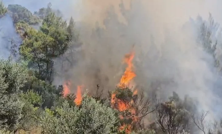 Shpërthejnë sërish zjarret në Vlorë, kërkohet ndihmë nga ajri