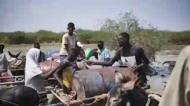 Shpërthimi më i keq i sëmundjes ndër vite/ Kolera godet Sudanin, regjistrohen 158 vdekje në Darfurin Jugor që nga maji