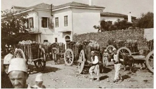 Shqipëria e vitit 1842..SIPAS KONTIT HUNGAREZ KARAXHAJI