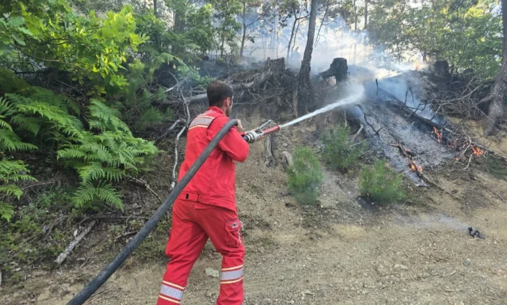 Shqipëria “nën flakë”! 50 vatra zjarri gjatë 24 orëve, ministria e Mbrojtjes: Rrezik i lartë nëpër pyje