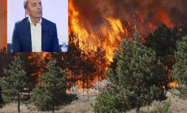 Situata e përsëritur me zjarret vitet e fundit, eksperti i sigurisë: Kambanë alarmi, janë 325 mln euro dëme këtë verë