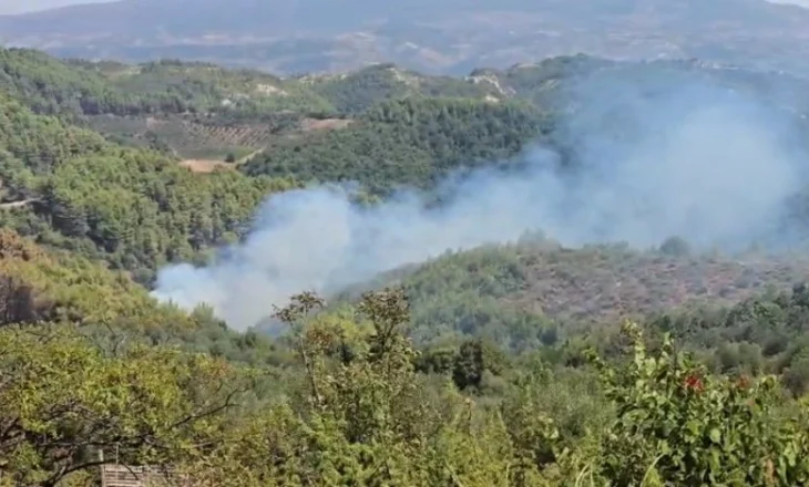 Situata e zjarreve në Mallakastër: Tre vatra ende aktive në Lofkënd, kërkohet ndërhyrje nga ajri