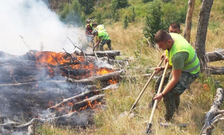 Situata kritike nga zjarret/ Presidenti Begaj mesazh qytetarëve: Bashkëpunoni me emergjencat civile