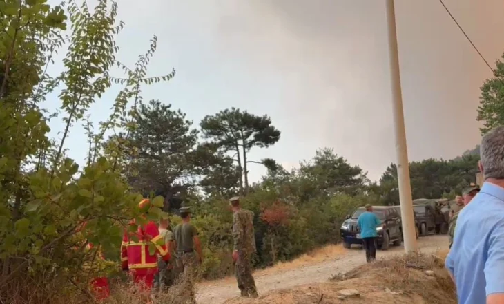 Situata me zjarrin del jashtë kontrollit edhe në Poliçan, urdhërohet evakuimi i banorëve