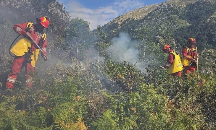 Situata nga zjarret, Ministria e Mbrojtjes: 21 vatra në 24 orët e fundit, 3 janë ende aktive