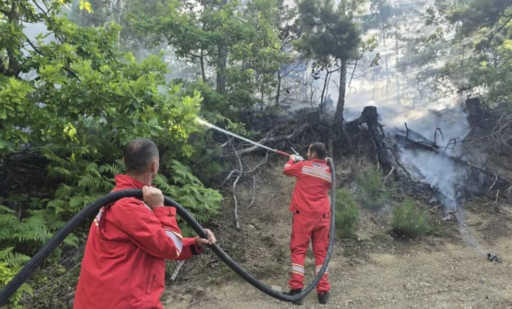 Situata nga zjarret, Ministria e Mbrojtjes: 50 vatra, jugu mbetet zona më problematike!