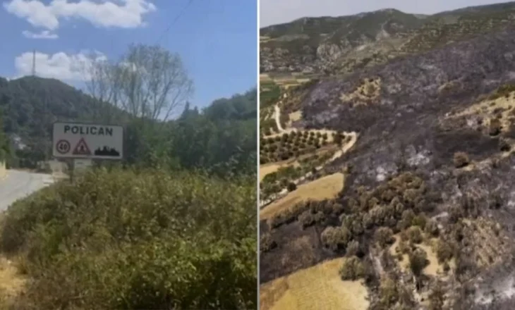 Situatë kritike në Plashnik, digjet Parku Kombëtar i Ballollit! Evakuohen 18 familje