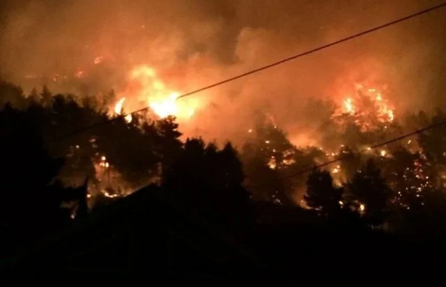 Situatë kritike/ Zjarri rrezikon banesat dhe azilin e të moshuarve në Poliçan