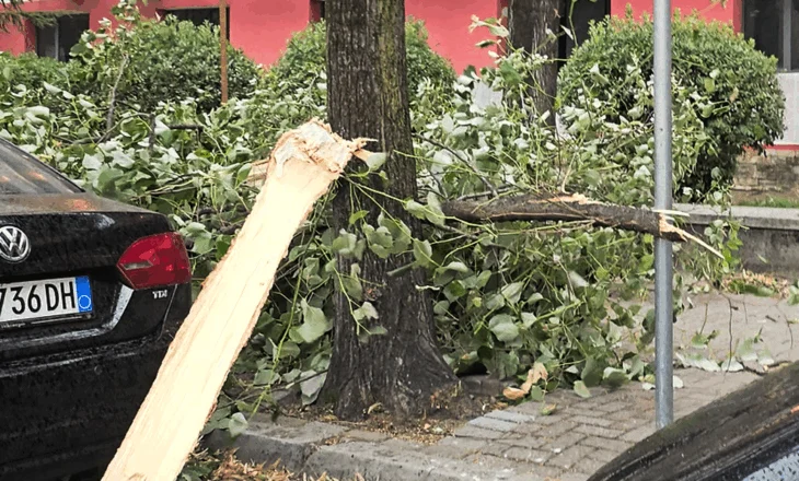 STUHIA godet Shqipërinë/ Era ‘e çmendur’ shkul pemët në Tiranë, merr çdo gjë para! Përmbytje në Lezhë, Durrës e Vlorë