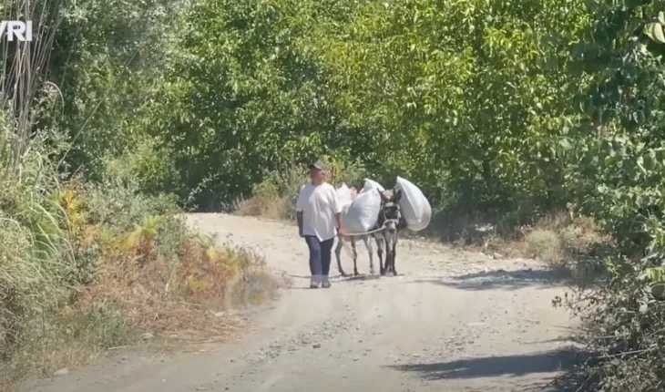 SYRI TV/ Fshati Kushovë në Gramsh braktiset nga banorët, pjesa më e madhe janë larguar në emigrim