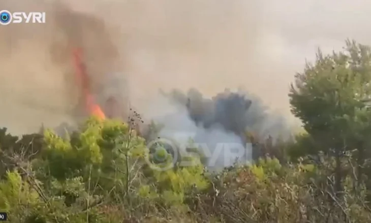 SYRI TV/ Zjarret shkrumbojnë pyjet e Mallakastrës, rrezikohen banesat përreth