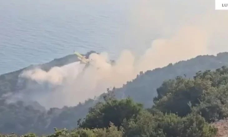 Të dyshuar për 3 raste zjarrvënie në Lukovë, Bolenë dhe Tragjas/ Ndalohet 43-vjeçari, procedohen dy të tjerë