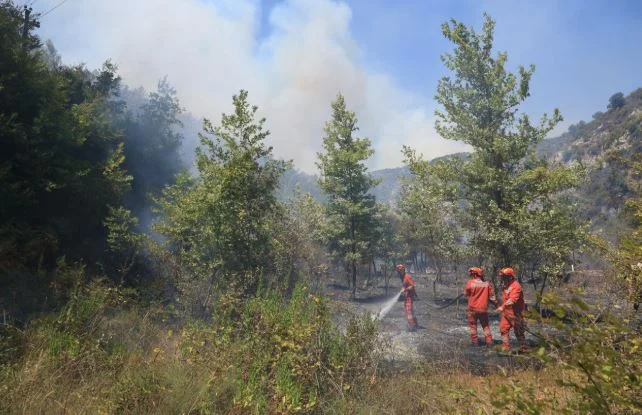 Temperaturat ekstreme nxisin zjarret, zjarrfikësit në luftë me flakët përgjatë rrugës Qafë Muzinë-Sarandë (Foto)
