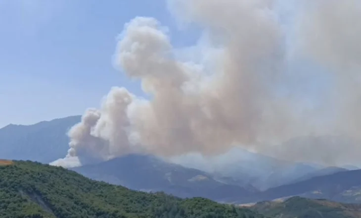 Tjetër vatër zjarri në Gramsh! Situata kritike në fshatrat Sojnik, Mukaj dhe Kukur