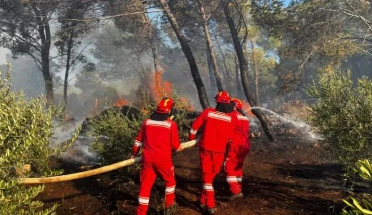 Tre vatra aktive në qarkun e Beratit, më problematikja në Poliçan