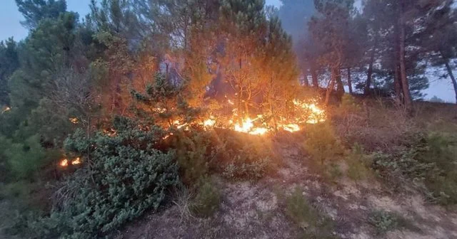 Tropoja përfshihet nga zjarret/ Evakuohen dy fshatra, rrezikohen linjat e tensionit të lartë