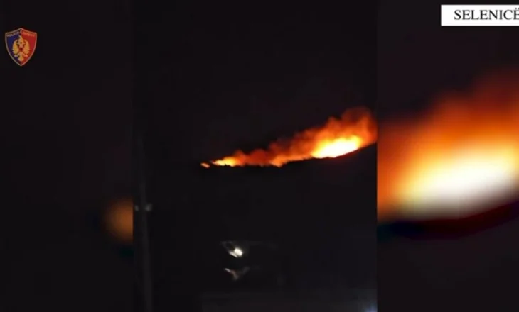 U konfliktua me fqinjin dhe i vuri flakën tokës me ullinj, arrestohet  43-vjeçari në Selenicë