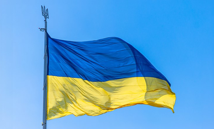 Ushtria dhe aleatët në gatishmëri, strategjia për sigurinë e Ukrainës